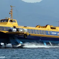 Flying Dolphin