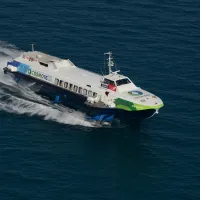 flying dolphin 29