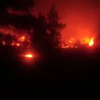 fotia evia psaxna