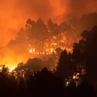 gran canaria fotia