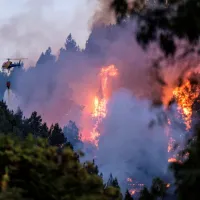 gran canaria fotia