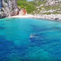 haanity nisi krokodeilos nauagio