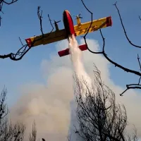 Πυρκαγιά ξέσπασε τη νύχτα σε πυκνόφυτη και πευκόφυτη δασώδη περιοχή στην Αγριλίτσα Ευβοίας.