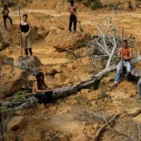 mura amazonios
