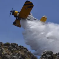 petzetel pzl aeroplano