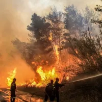 πυρκαγιά φωτιά πυροσβεστική διόνυσος