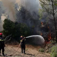 Πυρκαγιά σε δασική έκταση στην Κλειτορία Καλαβρύτων
