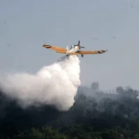 pzl