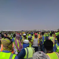 qatar ergates apergia