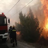 Σε εξέλιξη πυρκαγιά στην περιοχή των Φαρσάλων