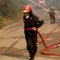 Σε ύφεση η φωτιά στην Βάρδα Ηλείας
