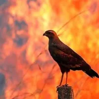 Φωτιά στη Σιβηρία