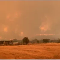 video fotia euvia psaxna