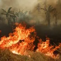 fires indonesia
