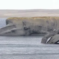 Novaya Zemlya