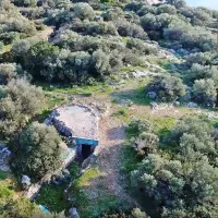 polyvoleia port rafti