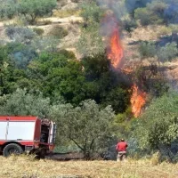 πυρκαγιά Πόρτο Ράφη