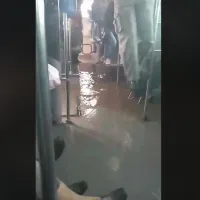 video leoforeio plhmmyra