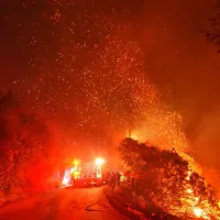 california fotia simera