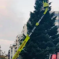 Χριστουγεννιάτικο δέντρο