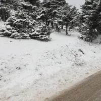 Έπεσαν τα πρώτα χιόνια στην Πάρνηθα