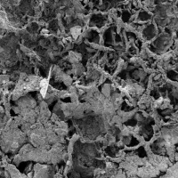 apolithoma