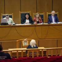 diki xrisi avgi