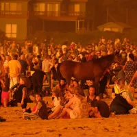 video australia