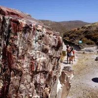lesvos apolithomena dentra