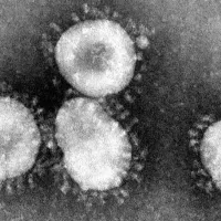 Coronavirus