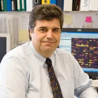 Dimitris Kafetzopoulos ite