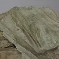 Επιστήμη και Εκκλησία, Προκόπης Παπαστράτης