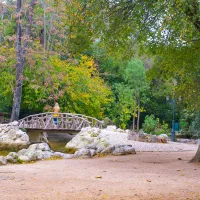 ethnikos kipos