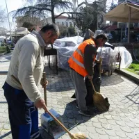 καθαριστες