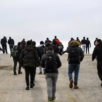 refugees