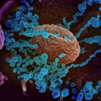 SARS-CoV-2 κορονοϊός Ινδία