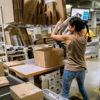 amazon gallia