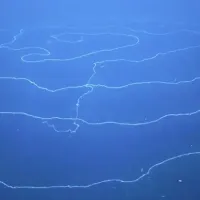 Ανακάλυψη