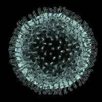 Coronavirus