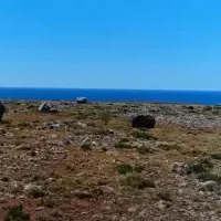 erimos