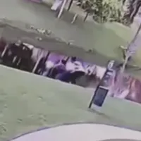 Δολοφονία