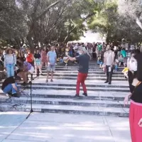 Support Art Workers