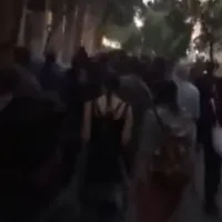 Κυψέλη