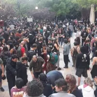 Κυψέλη
