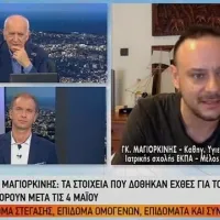 Γκίκας Μαγκιορκίνης