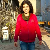 Nudem Durak