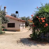 Γαργαλιάνοι