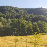 Καστοριά