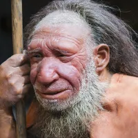 neanderthal