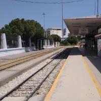patra treno